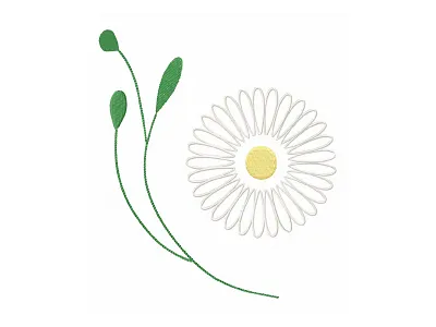 Modest Daisy Flower chamomile chamomile flower chamomile flower daisy daisy flower embroidery embroidery design embroidery digitizer embroidery digitizing embroidery digitizing company flower