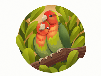 Bright Birds: Parrots animals art birds characters design design studio digital art digital artwork digital illustration digital painting exotic fauna graphic design illustration illustrations illustrator nature parrot procreate wildlife