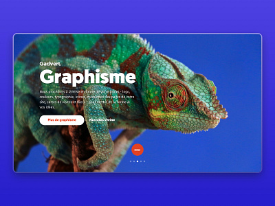 Gadvert Agency - Webdesign agency website blue chameleon graphism ui ux userinterface ux design webdesign