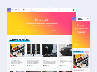 Design website for Crowdfunding Platform / Berkoff Goodman branding campaign crowdfunding discover fundraising illustration minimal mobile money paid pay platform platform design raise responsive typography ui web webdesign website