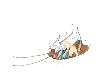 Cockroach Study Part II cockroach design fine art graphic design illustration ipad pro procreate watercolor