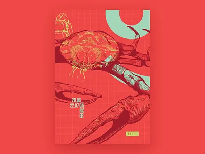 Cancer / Zodiac Sign branding design graphicdesign graphics illustration poster posterdesign print design typography zodiac sign