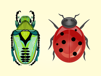 bugs animals beetle bug bugs design digital digital art digital illustration flat fly icon illustration insect insects ladybug vector