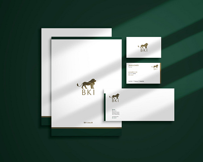 BKI-I Logo & Brand Identity art director branding creative direction design flat logo minimal photography