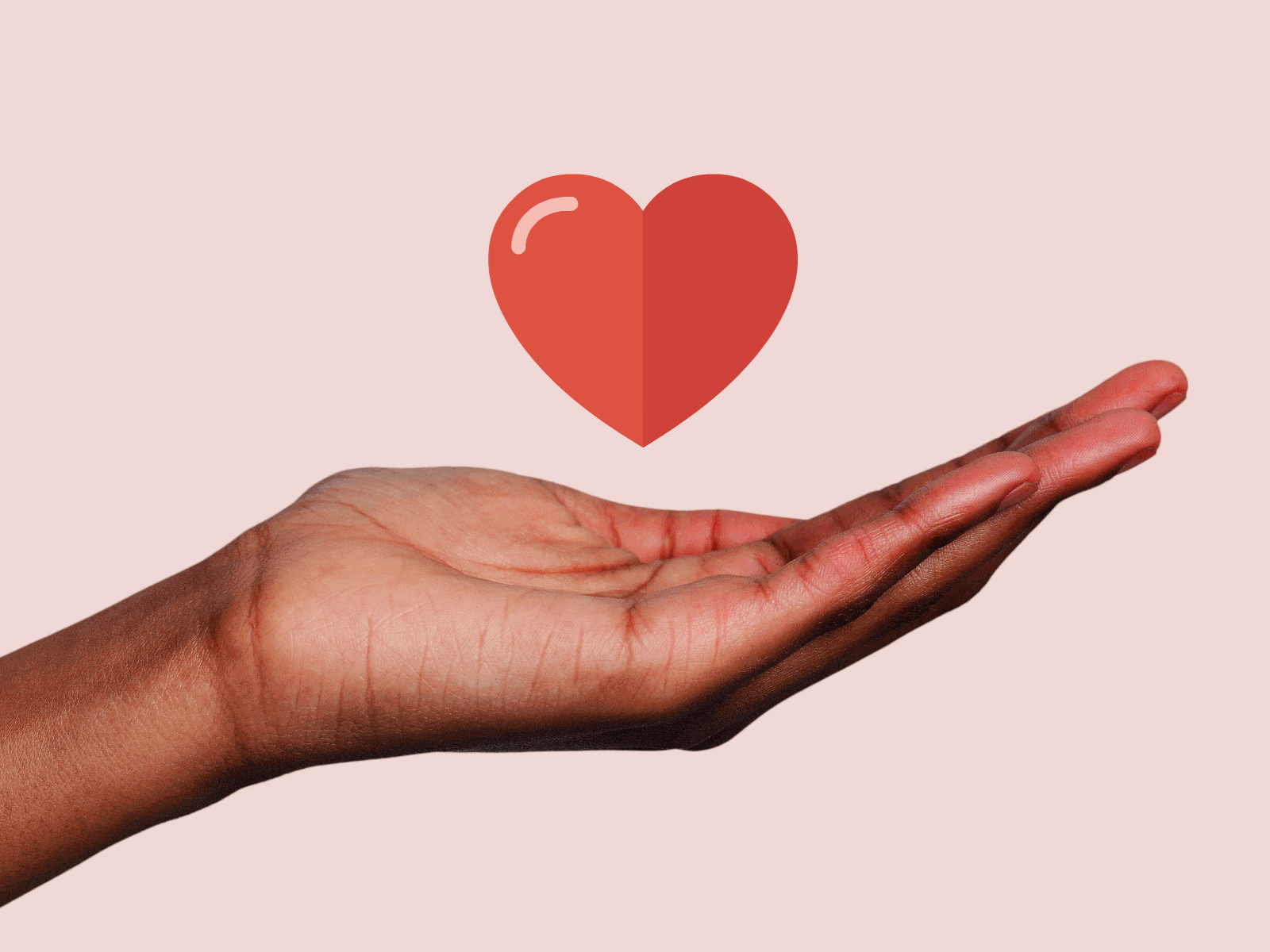 Gratitude animation adobe animate animated gif animation email design email marketing hero image