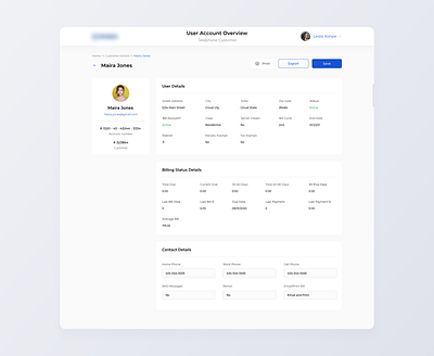 Customer Account Overview design minimal ui web