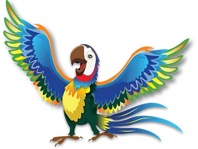 Parrot Illustration adobe illustrator graphic design illustration