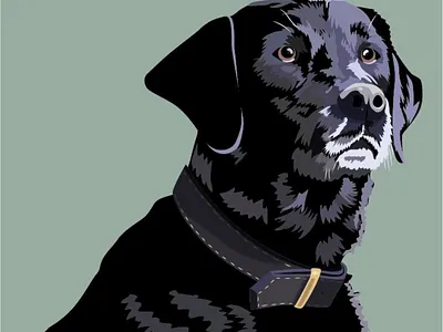 Charly adobe ilustrator custom portrait digital art digital illustration illustration pet portrait portrait art vector wacom intuos