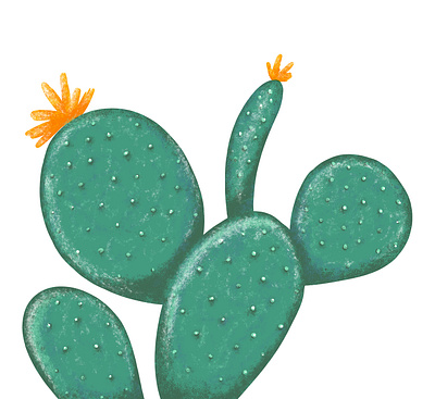 Cactus cactus cactus illustration design green huion illustration illustration art modern nature photoshop plant vegan