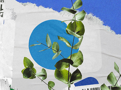 collage exploration 04 collage concept green leaves paper plants ripped stickers texture