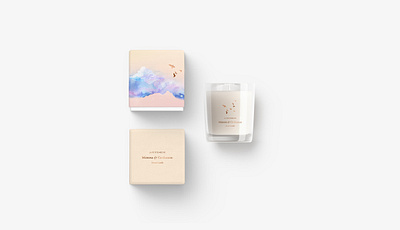La Petite Meche Concepts branding design illustration packaging pattern