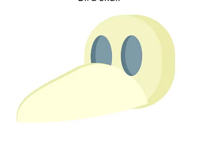 Bird Skull design gravit designer illustration vector vector art vector illustration white yellow