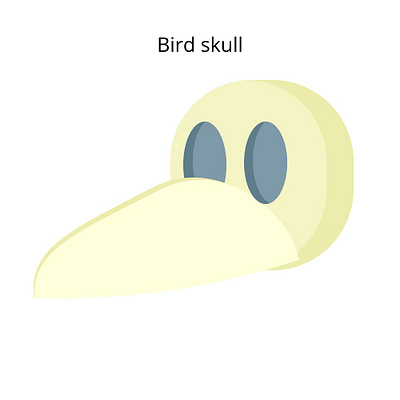 Bird Skull design gravit designer illustration vector vector art vector illustration white yellow