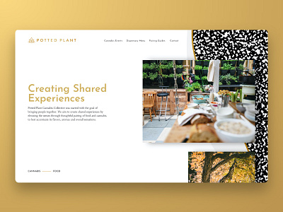 Cannabis Web Design design ui ux web webdesign website