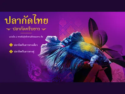 Thai fighting fish on PowerPoint 3 creative designer direction graphic graphic designer retouching