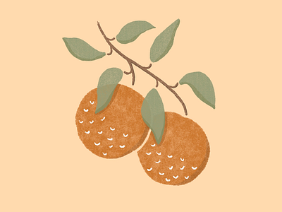 Oranges doodle illustration ipad leaves orange oranges procreate