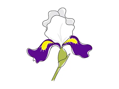 Vector realistic illustration of Iris flower flower illustration iris realism vector