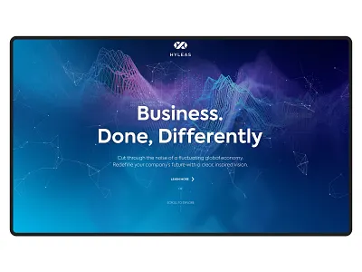 Haleyas design illustration art landing page design ux web