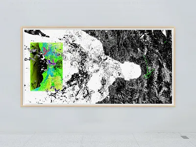 010 blackandwhite collage design graphic design illustration print