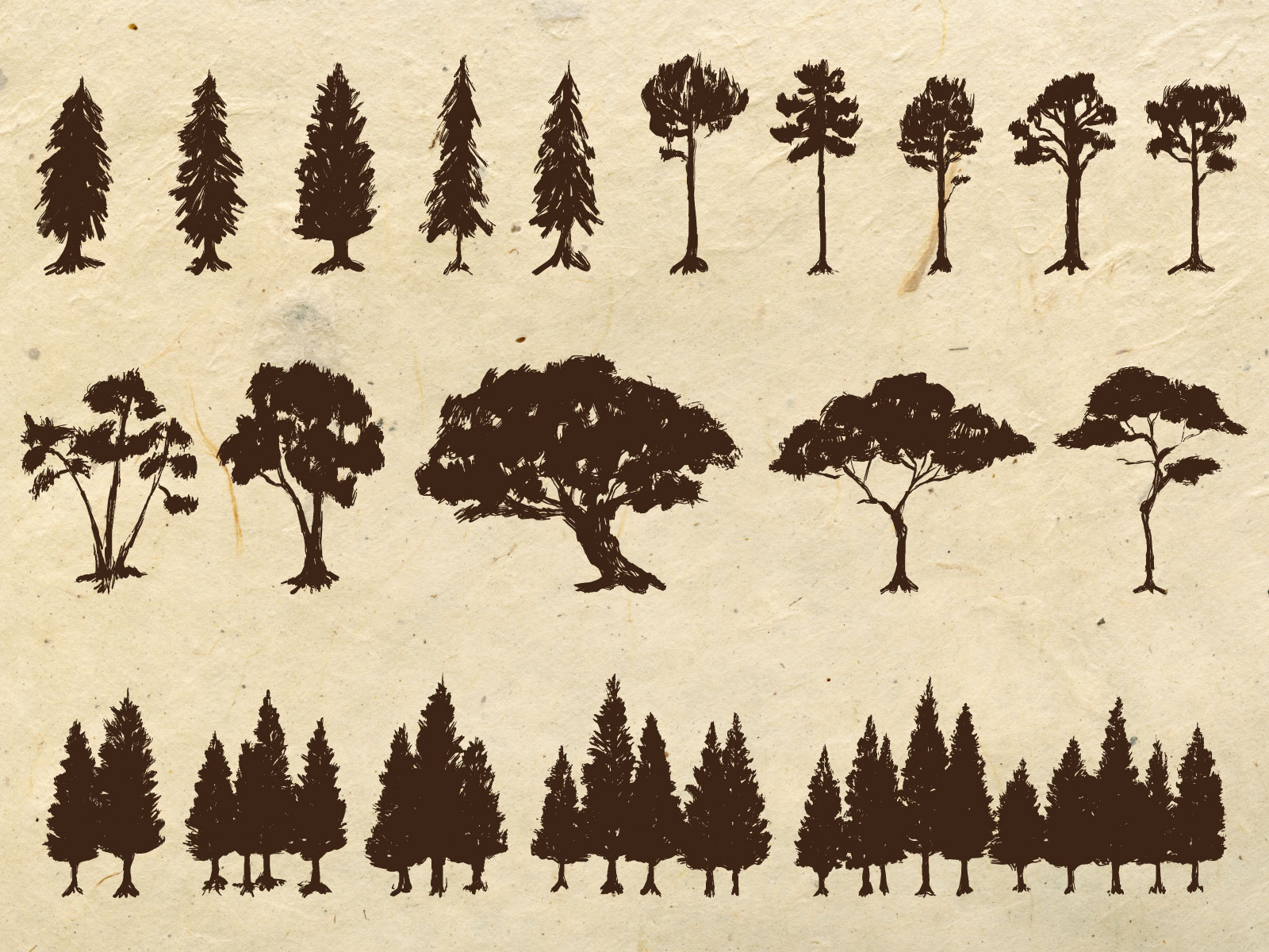 Example of Custom Hand Drawn Illustration