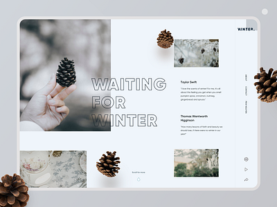 Waiting for Winter lightroom showcase ui design uxdesign web website