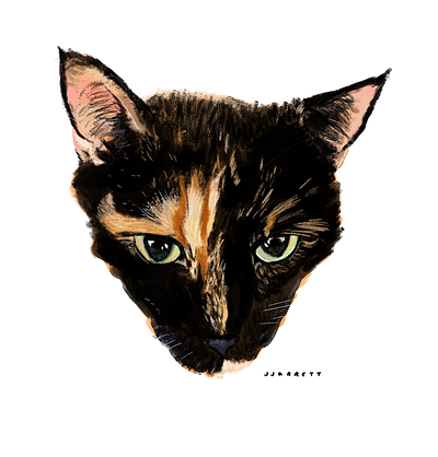 black and orange cat portrait design digital illustration