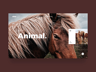 Website concept for Veer 03 design ppt slide ui ui design uiux ux web web design website website concept website design