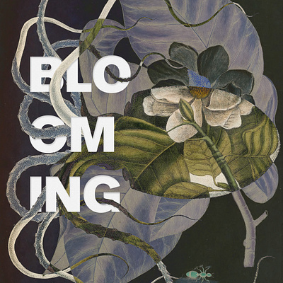 Graphic Concept for Blooming Festival 2020 botanic branding design floral graphicdesign identity design illustration