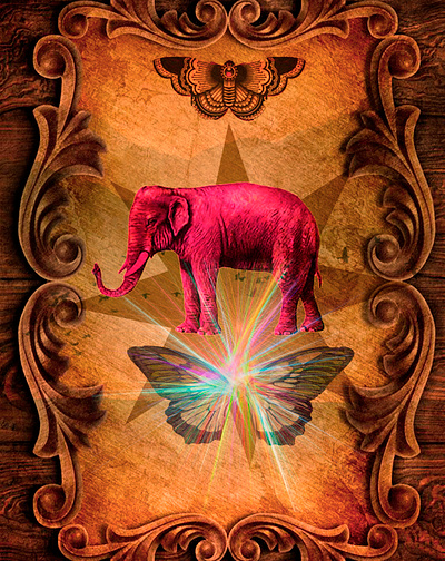 MARI POSA POP design illustration logo photomanipulacion vector