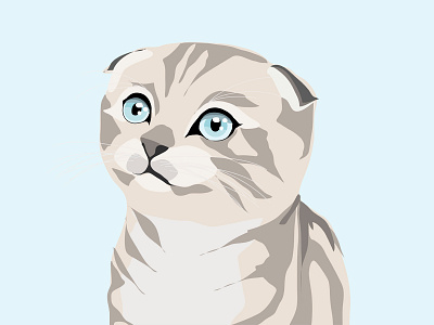 Scottish Fold Kitten branding design illustration painting vector