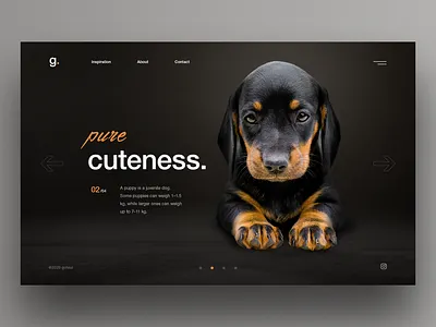 Puppy clean ui dark mode dark ui dog dogs hero pet pets puppy puppy dog slider ui uiux ux webdesign