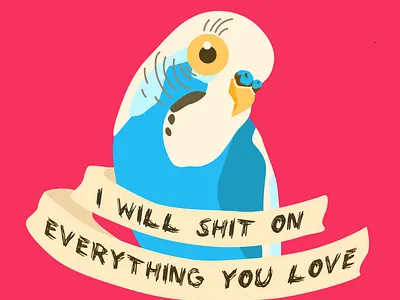 Budgie buisness characterdesign design flatdesign illustration illustrator parrot ux vector vectorart web