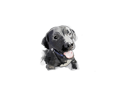 Oscar art dog dog illustration dogs illustration pet pet portrait portrait portrait illustration procreate pup sketch