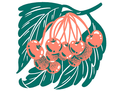 Two Color Cherries botanicals cherries cherry foliage food food illustration fruit fruit drawing fruit illustration illustration silkscreen spot spot illustration texture