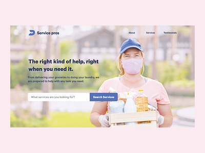 Service Pros Homepage Hero Concept