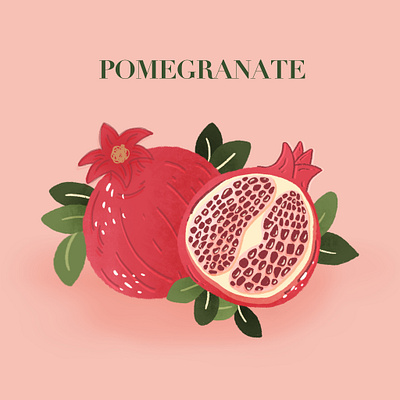 Pomegranate November flat illustrator food illustration fruit illustration pink pink fruit pomegranate procreate