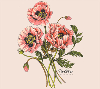 Shirley Poppies art print botanical illustration coral flowers coral flowers coral poppy flores flower bud illustration leafy marker art peach blossoms peach floral peach florals pink blossoms pink flowers pink poppies pink poppies poppies poppy flower poppyart poppyart shirley poppies