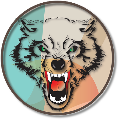 Wolf illustration adobe illustrator graphic design illustration