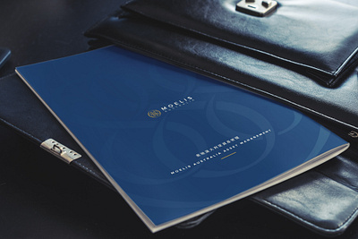 Company Brochure booklet coporate design print