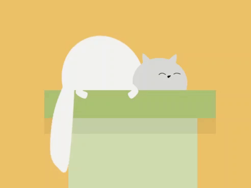 SLEEPY CAT 2danimation abstract animation design flat illustration minimal vector