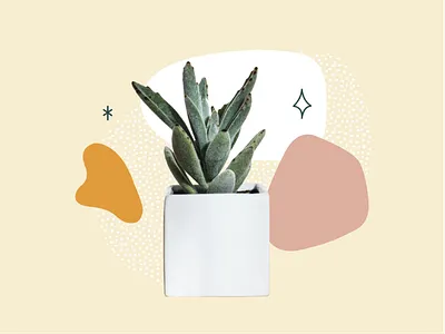 small collage asset adobe illustrator cc blobs collage houseplant illustrator plant retro succulent vector