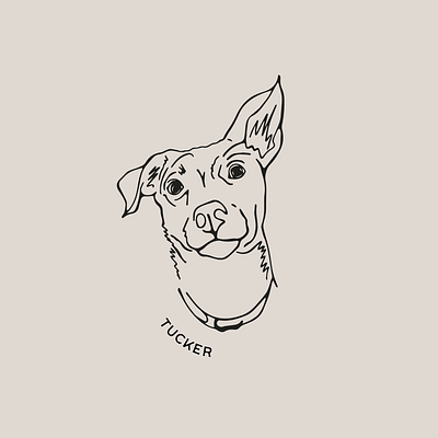 Tucker design digital art digital illustration dog dog art dog illustration dog portrait graphic design illustration minimal pet pet portrait procreate retro vintage