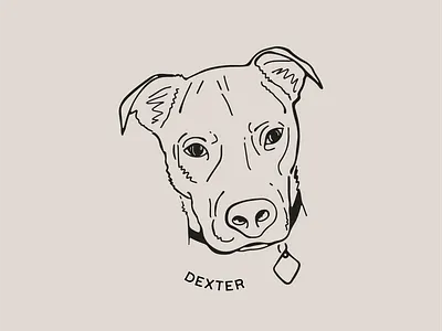 Dexter design digital art digital illustration dog dog art dog illustration dog portrait graphic design illustration minimal pet pet portrait procreate retro vintage