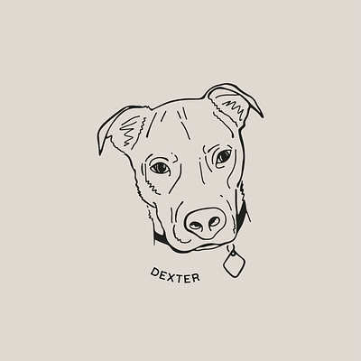 Dexter design digital art digital illustration dog dog art dog illustration dog portrait graphic design illustration minimal pet pet portrait procreate retro vintage