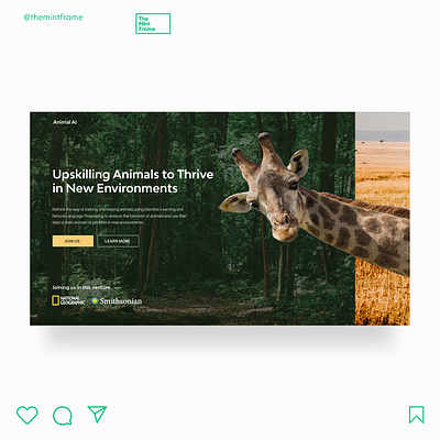 Animal Training Using AI adobe illustrator adobe xd ai animal branding design earth enviroment machine learning ui uidesign webdesign website