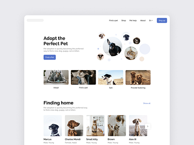 Adopt the Perfect Pet clean design design ui ux interface minimal minimalistic simple ui web white