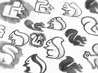 Sketches 2d animal branding design exploration flat graphic icon logo logotype mark minimal minimalistic negative space simple sketches squirrel symbol vector wildlife