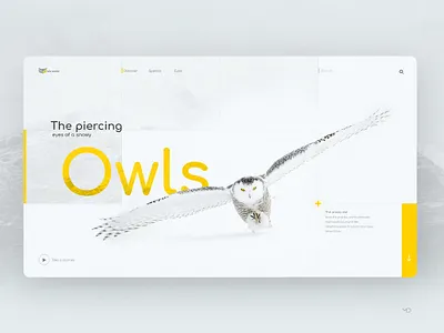 Owls design flat graphic minimal typography ui web webdesign website