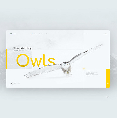 Owls design flat graphic minimal typography ui web webdesign website