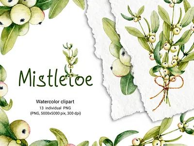 Mistletoe berries and leaves. Watercolor. illustration акварель букет веточки зима клипарт листья омела рисунок свадьба снежная ягода цветы ягода